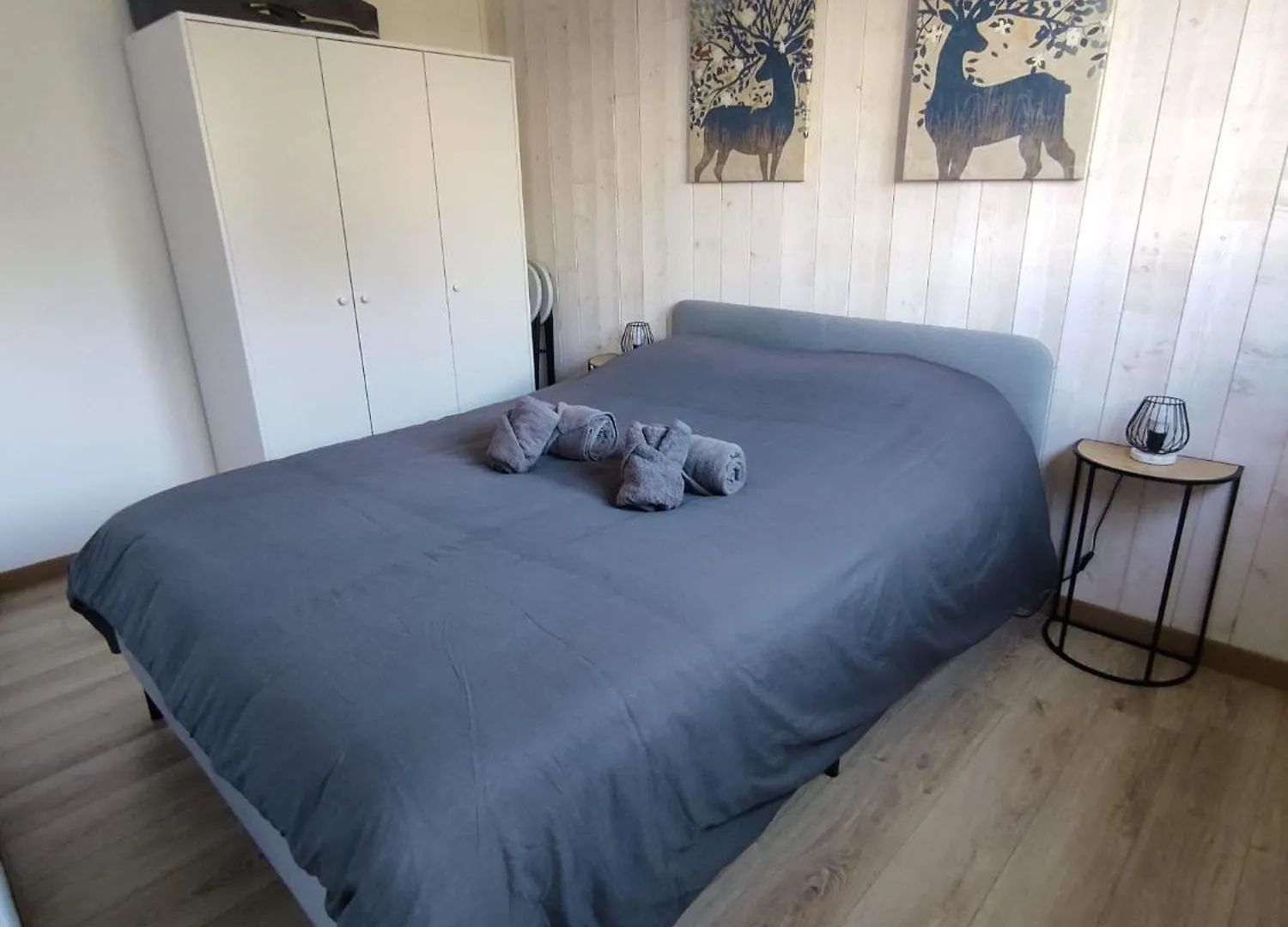 Thilucha Le Thilu Alpe D'Huez Gd Domaine A Allemont Apartment